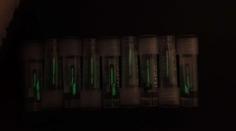 A collection of ready-to-implant tritium implants, perfect for cyberpunk enthusiasts, featuring #Firefly and #xGlo styles, available for #buy and #shop, showcasing #grinding techniques in biohacking.
thanks again chatgpt for the trash image subsctription. love ya