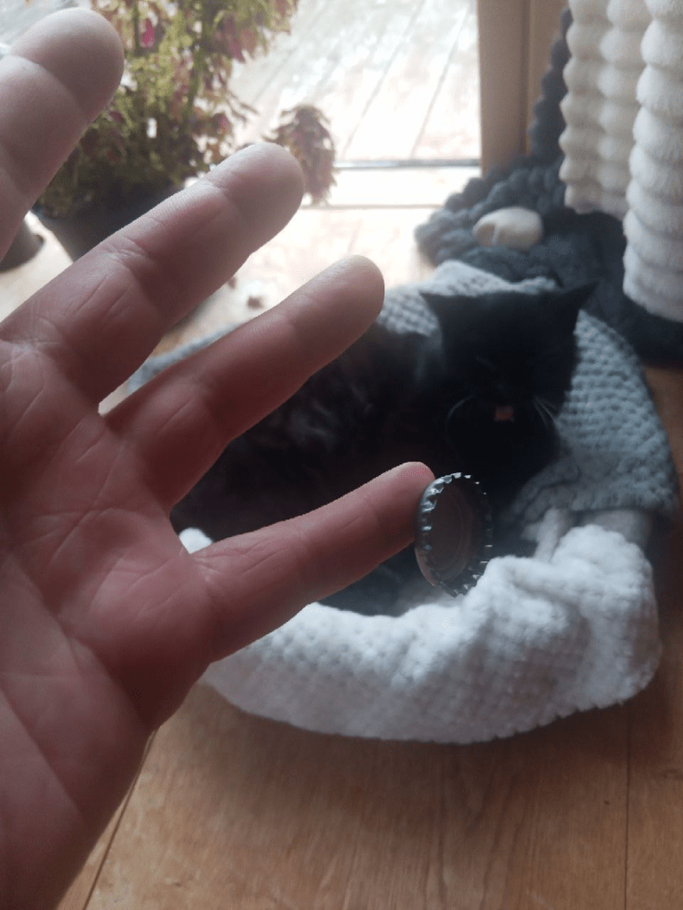 →New Biohacking Magnet Implants: Titanium Biomagnets in several sizes